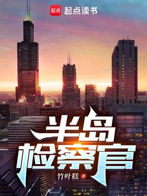 《半岛检察官》【全本】 竹叶糕-过目游 · 书漫游