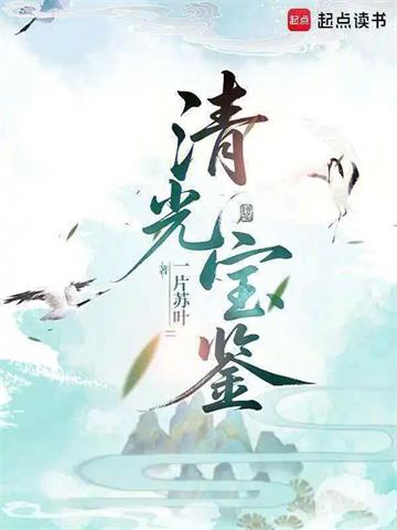 《清光宝鉴》连载 (1-103章) 一片苏叶-过目游 · 书漫游