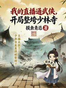 《我的直播通武侠，开局整垮少林寺》连载 (1-237章) 摸鱼青总-过目游 · 书漫游