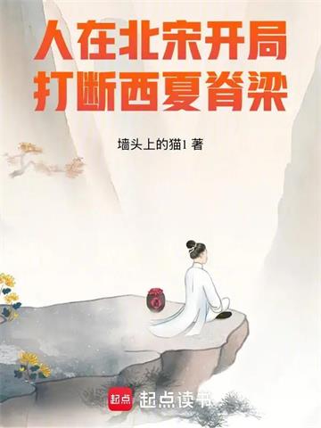 《人在北宋，开局打断西夏脊梁！》连载 (1-178章) 墙头上的猫1-过目游 · 书漫游