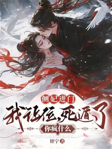 《侧妃进门我让位，死遁了你疯什么》连载 (1-707章) 婞宁-过目游 · 书漫游