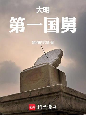 《大明第一国舅》连载 (1-1160章) 黑胖的老鼠-过目游 · 书漫游