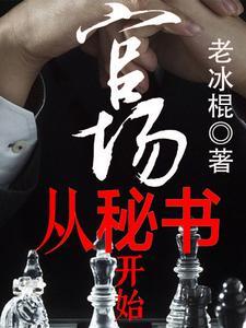 《官场从秘书开始》连载 (1-2773章) 老冰棍-过目游 · 书漫游
