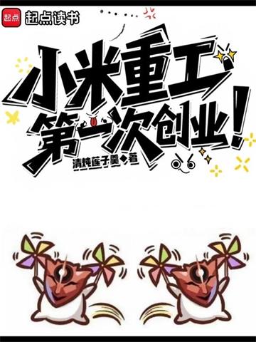 《小米重工，第一次创业！》连载 (1-991章) 清炖莲子羹-过目游 · 书漫游