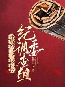 《开局停职？我转投市纪委调查组》连载 (1-3065章) 江门二爷-过目游 · 书漫游