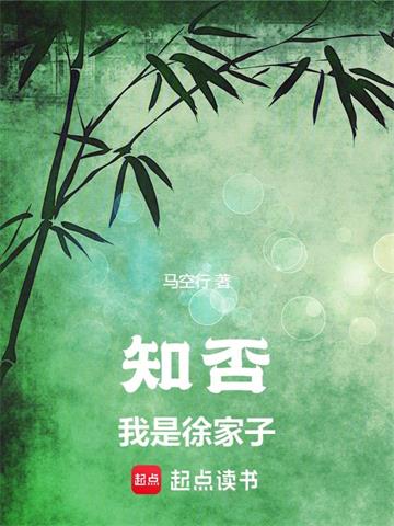 《知否：我是徐家子》连载 (1-1092章) 马空行-过目游 · 书漫游