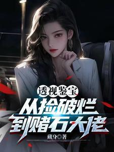 《透视神瞳：从捡漏开始暴富》连载 (1-2068章) 藏身-过目游 · 书漫游