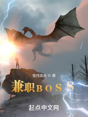 《兼职BOSS》【全本】宝月流光-过目游 · 书漫游