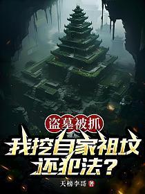 《盗墓被抓：我挖自家祖坟还犯法？》连载 (1-299章) 天榜李哥1-过目游 · 书漫游