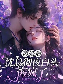 《离婚后，沈总彻夜白头悔疯了》连载 (1-555章) 一世从欢-过目游 · 书漫游