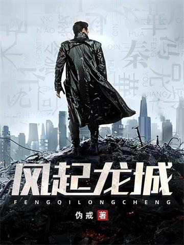 《风起龙城》【全本】伪戒-过目游 · 书漫游